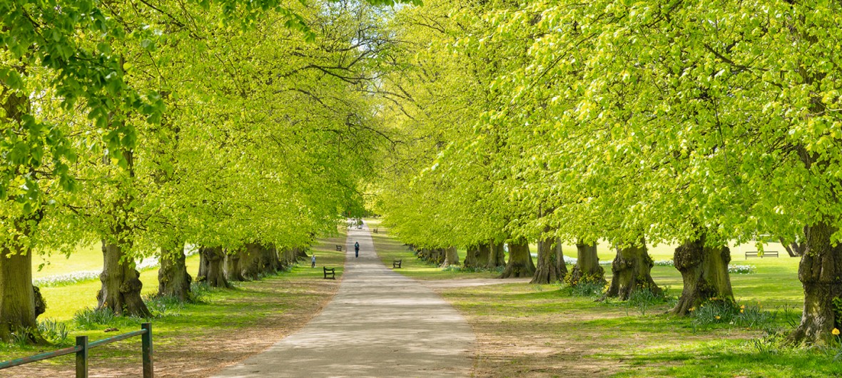 Rothamsted Park picture